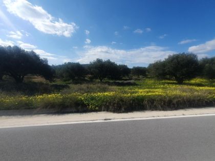 ΓΟΥΒΕΣ ΚΑΤΩ