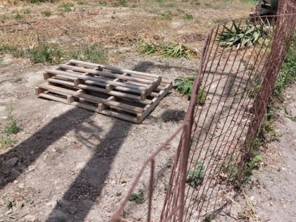 ΑΜΜΟΥΔΑΡΑ