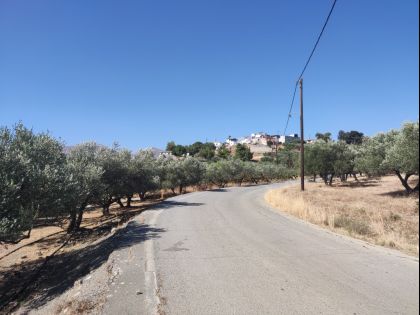 ΚΑΛΥΒΙΑ