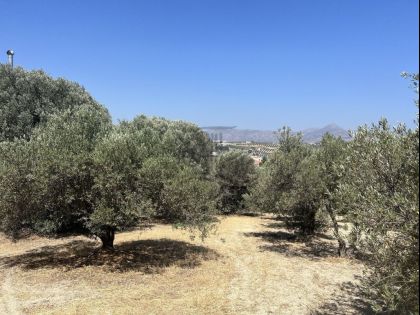 αγγελία