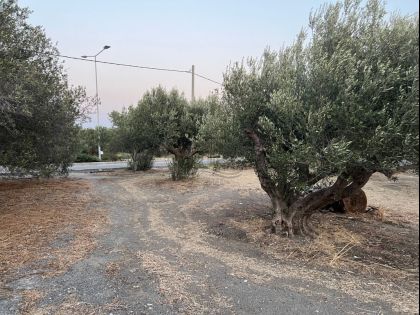 αγγελία
