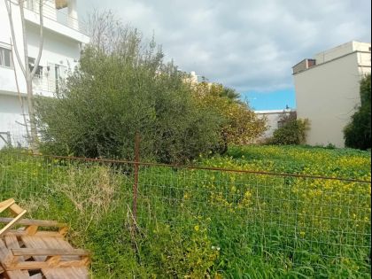 ΑΤΣΑΛΕΝΙΟ