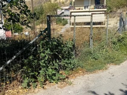 ΚΟΡΩΝΗ ΜΑΓΑΡΑ