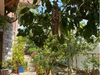ΡΟΔΙΑ