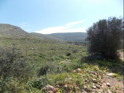 ΚΑΣΤΕΛΛΙ