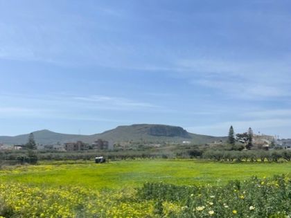 ΓΟΥΡΝΕΣ ΠΕΔΙΑΔΟΣ