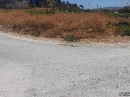 ΜΑΛΑΔΕΣ