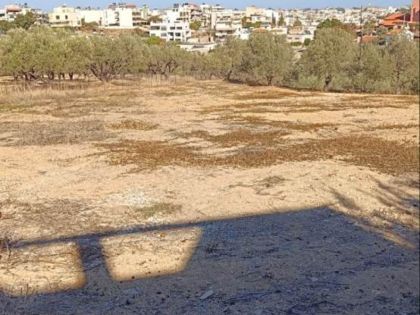 ΜΕΣΑΜΠΕΛΙΕΣ