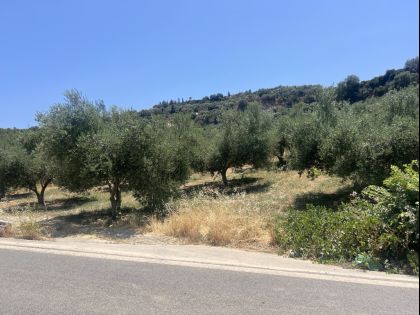 ΚΑΛΕΣΑ ΚΑΤΩ 