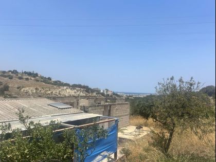 ΦΟΙΝΙΚΙΑ