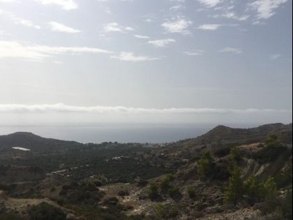 ΜΥΡΤΟΣ:
