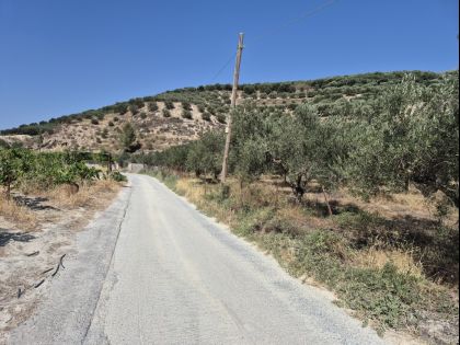 αγγελία
