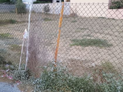 ΜΕΣΑΜΠΕΛΙΕΣ