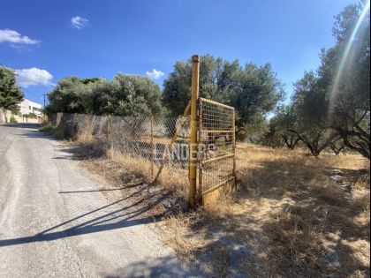 ΓΟΥΡΝΕΣ ΤΕΜΕΝΟΥΣ