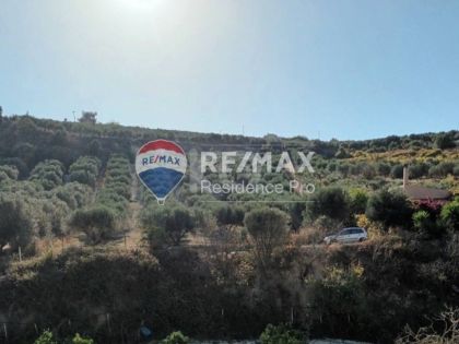 ΓΟΥΡΝΕΣ ΤΕΜΕΝΟΥΣ