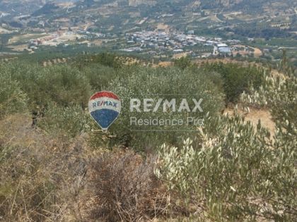 ΒΕΝΕΡΑΤΟ
