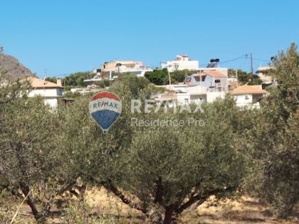 ΑΓΡΙΑΝΑ