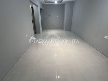 ΧΑΛΚΙΔΙΚΗ