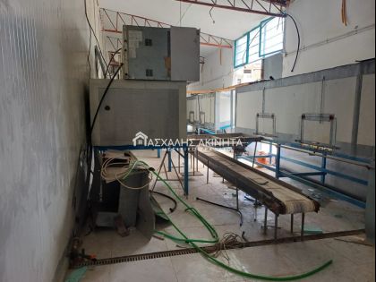ΚΑΜΙΝΙΑ