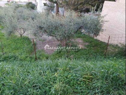 ΓΙΟΦΥΡΟ