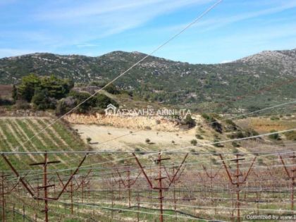 ΑΡΧΑΝΕΣ ΑΝΩ 