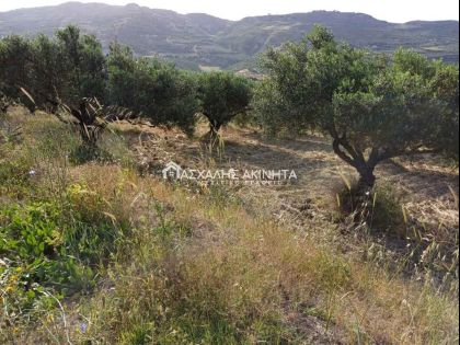ΠΑΡΤΙΡΑ