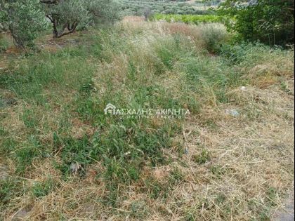 ΕΠΙΣΚΟΠΗ
