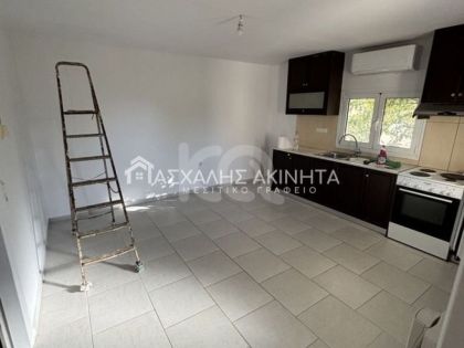 ΓΟΥΡΝΕΣ ΤΕΜΕΝΟΥΣ
