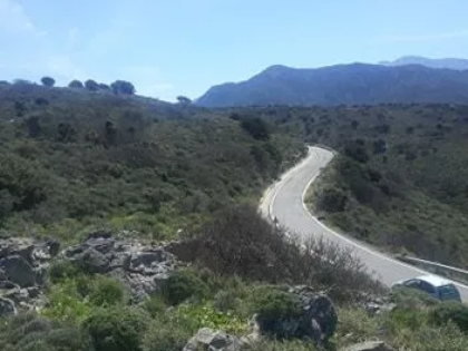 αγγελία