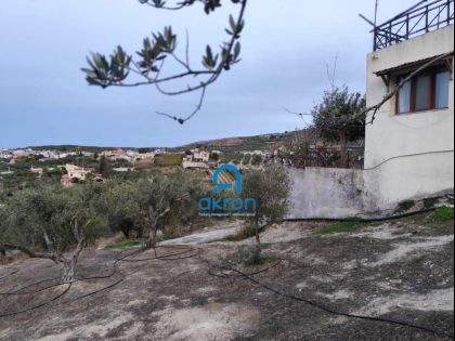 ΣΓΟΥΡΟΚΕΦΑΛΙ