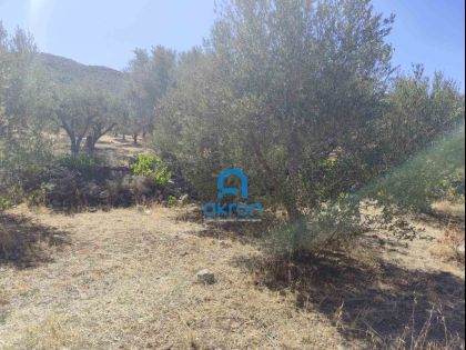 ΚΡΟΥΣΤΑΣ