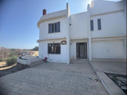 αγγελία