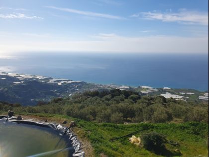 ΑΡΒΗ