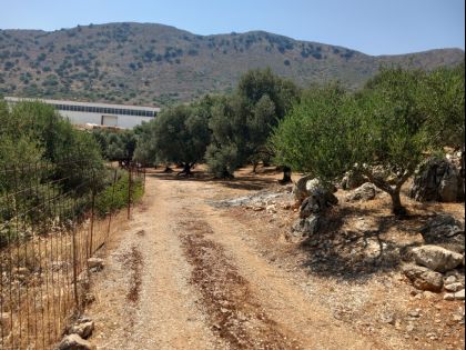ΤΥΛΙΣΣΟΣ
