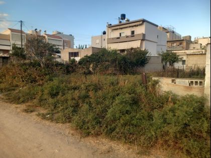 ΚΑΜΙΝΙΑ