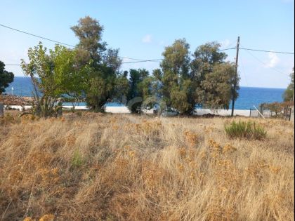 ΣΚΕΠΑΣΤΗ ΣΚΟΡΔΙΛΟ ΣΟΛΟΧΙΑΝΑ