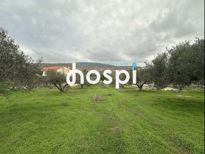 ΑΝΩΠΟΛΗ