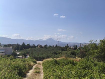 αγγελία