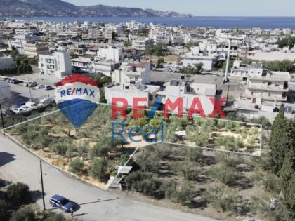 ΤΣΑΛΙΚΑΚΙ - ΑΝΤΙΠΑΡΟΧΗ