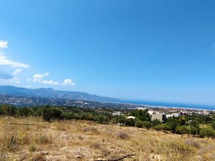 ΑΓΙΟΣ ΒΛΑΣΙΟΣ