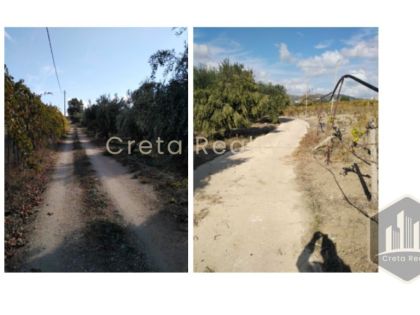 ΒΕΝΕΡΑΤΟ