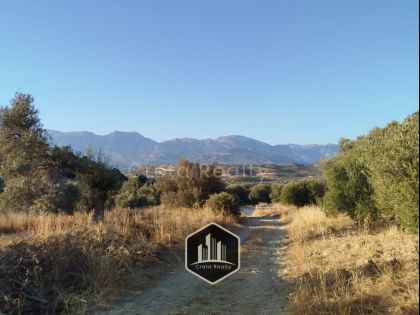 ΚΑΜΗΛΑΡΙ