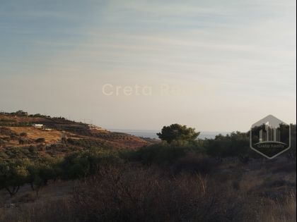 ΚΑΛΑΜΑΚΙ