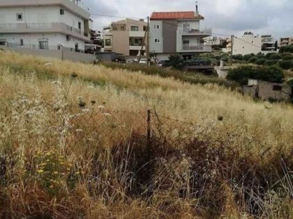 ΜΕΣΑΜΠΕΛΙΕΣ