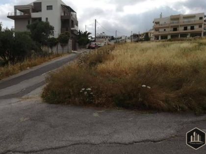 ΜΕΣΑΜΠΕΛΙΕΣ