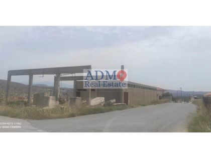 αγγελία