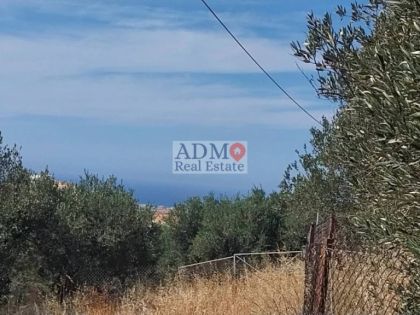 αγγελία
