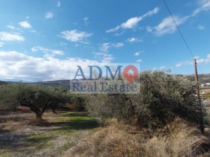 ΜΑΛΑΔΕΣ