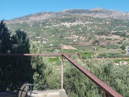 ΦΟΙΝΙΚΙΑ