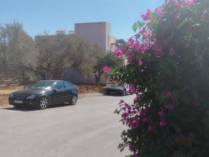 ΚΟΡΩΝΗ ΜΑΓΑΡΑ